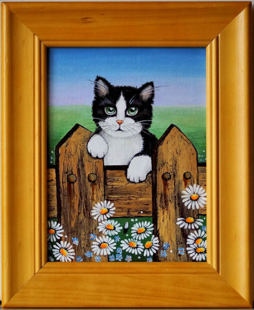 Koťátko — foto 2