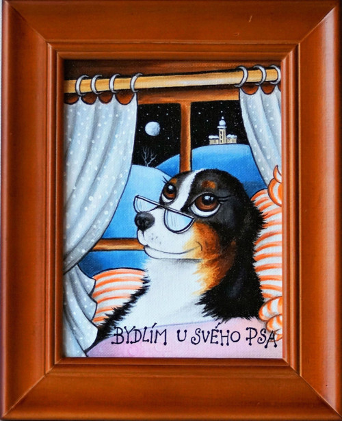 Bydlím u svého psa — foto 2