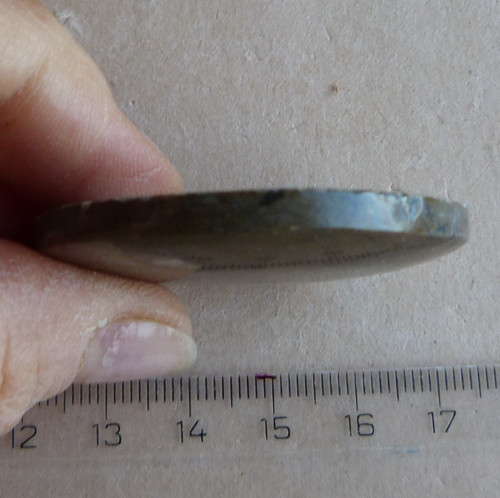 Amonit - 4,5 cm — foto 3