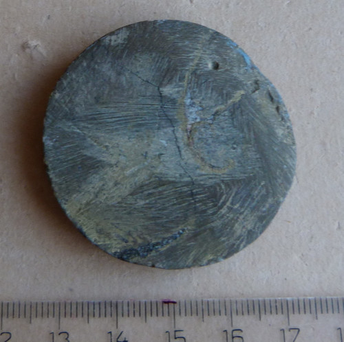 Amonit - 4,5 cm — foto 4