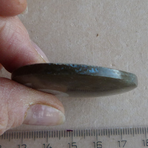 Amonit - 4,5 cm — foto 2