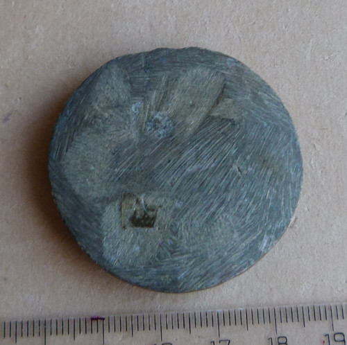 Amonit - 4,5 cm — foto 3