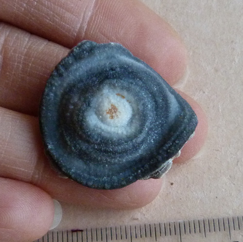 Chalcedon Hadí oko - 2,9 cm — foto 2