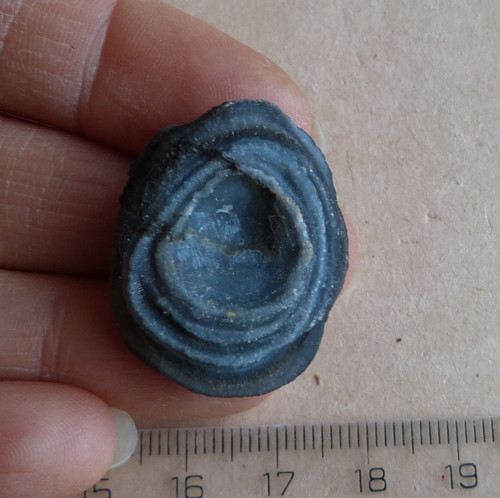 Chalcedon Hadí oko - 3 cm — foto 2