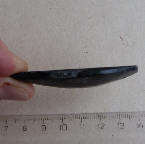 Orthoceras vrtaný - 5,7 cm — foto 4