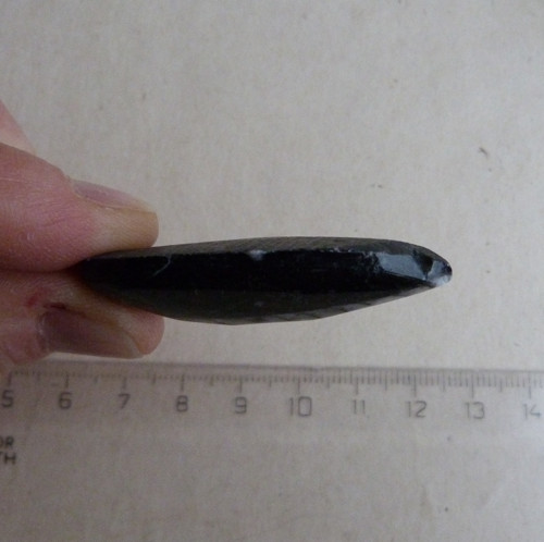 Orthoceras vrtaný - 4,6 cm — foto 3