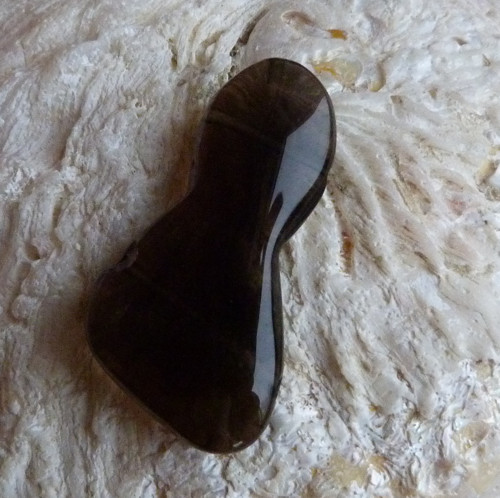 Záhněda vrtaná - 4 cm (Z2) — foto 5