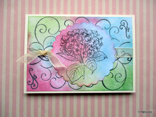 Candy Wish — foto 2