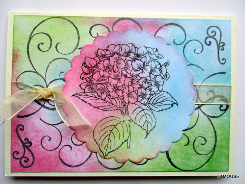 Candy Wish — foto 3