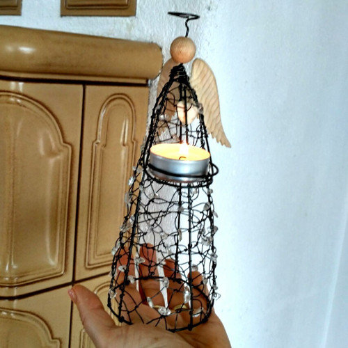 Světlonoš křišťálový — foto 3