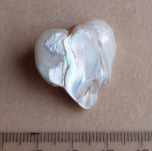 Perla kultivovaná - 2,7 cm — foto 3