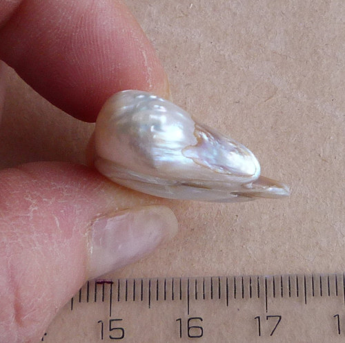 Perla kultivovaná - 2,7 cm — foto 4