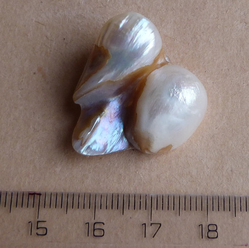Perla kultivovaná - 2,7 cm — foto 5