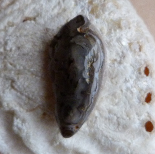 Achát peříčkový - 3,7 cm — foto 3