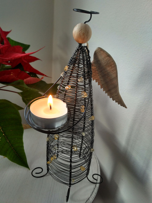 Světlonoš citrínový — foto 3
