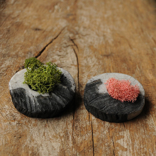 Miniatúrna RAKU záhrada — foto 2