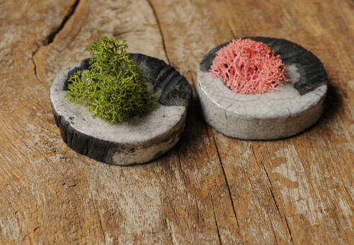 Miniatúrna RAKU záhrada — foto 3