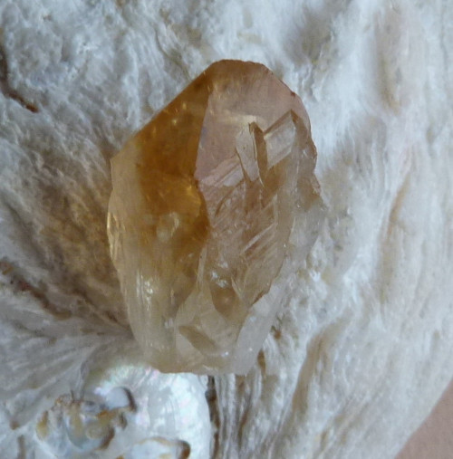 Citrín krystal - 2,8 cm — foto 5