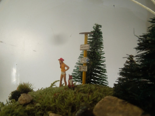 Lesní výlet — foto 3