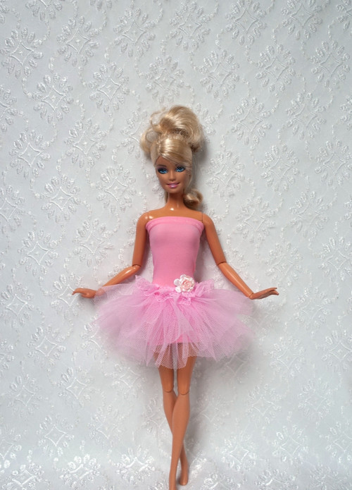 Růžová baletka — foto 2