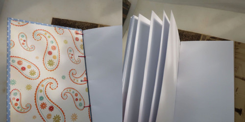 Notes Co se děje v kapradí — foto 5