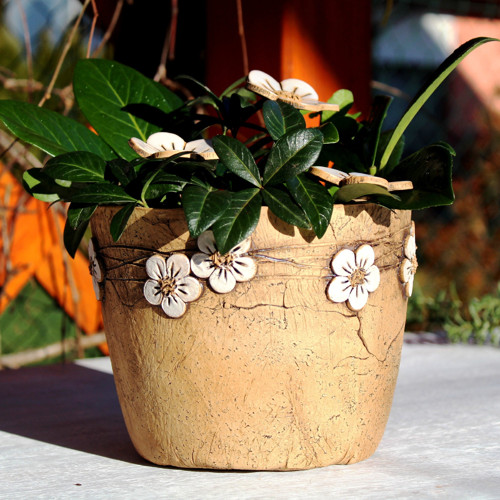 Květník s bílými kvítky — foto 3