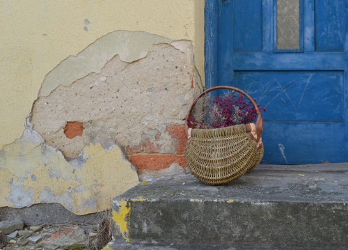 Francouzský košík rezavý — foto 6