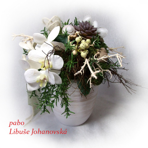 Kousek přírody (160) — foto 3