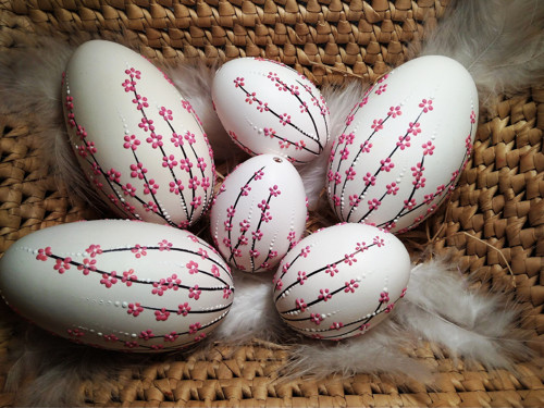Kraslice - Easter eggs - Jaro rozkvétá, přivoň si — foto 2