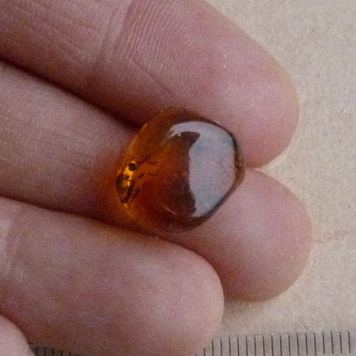 Jantar extra - 1 g — foto 2