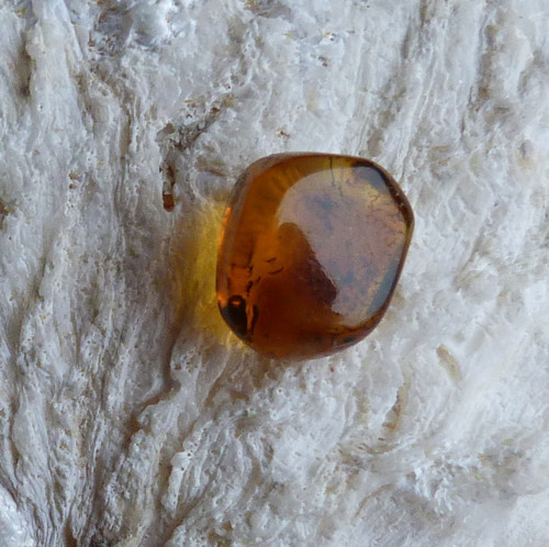 Jantar extra - 1 g — foto 3
