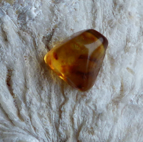 Jantar extra - 1,3 g — foto 6