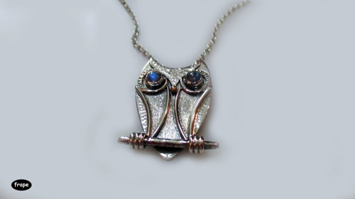 Owl — foto 2