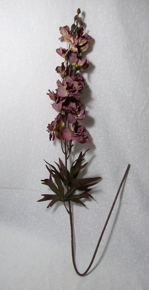 Ostrožka fialová — foto 2