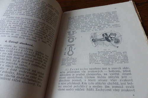 O lidských smyslech, Bohumil Čejka — foto 3