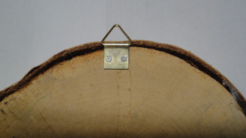 V lese — foto 2