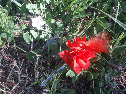 Čelenka.č.131/4 — foto 3