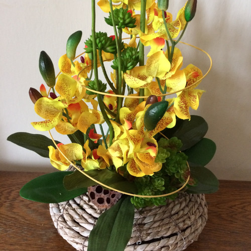 Orchideje v proutí — foto 3