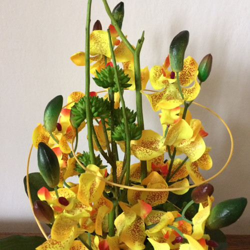 Orchideje v proutí — foto 5