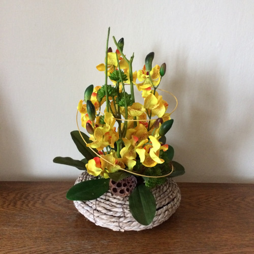 Orchideje v proutí — foto 6