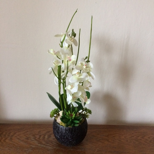 Orchideje v keramice — foto 2