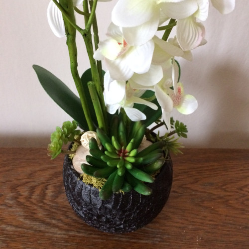 Orchideje v keramice — foto 3