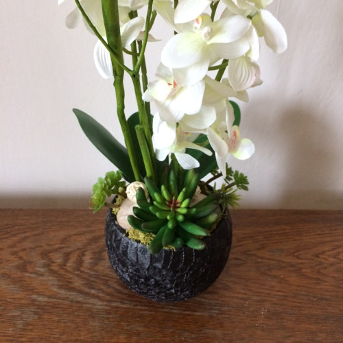 Orchideje v keramice — foto 4