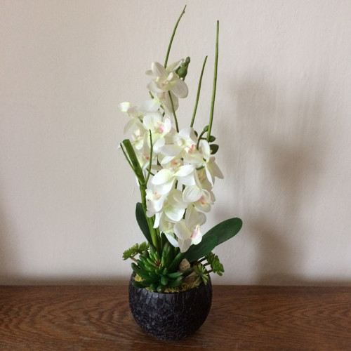 Orchideje v keramice — foto 6