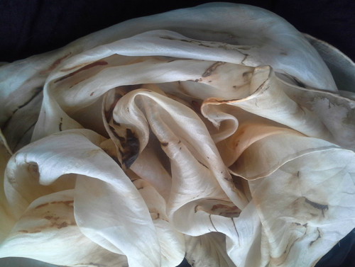 Latte - hedvábná šála — foto 3