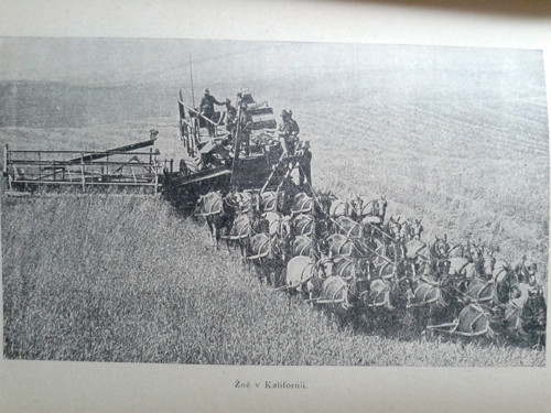 Člověk a jeho dílo — foto 3