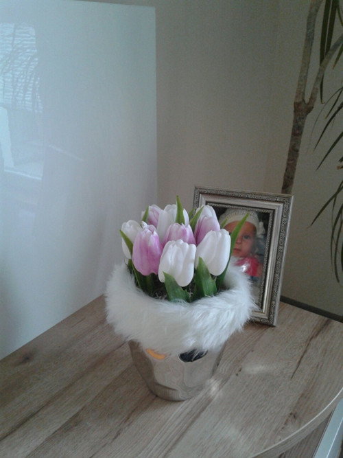 Tulipány v teple — foto 2