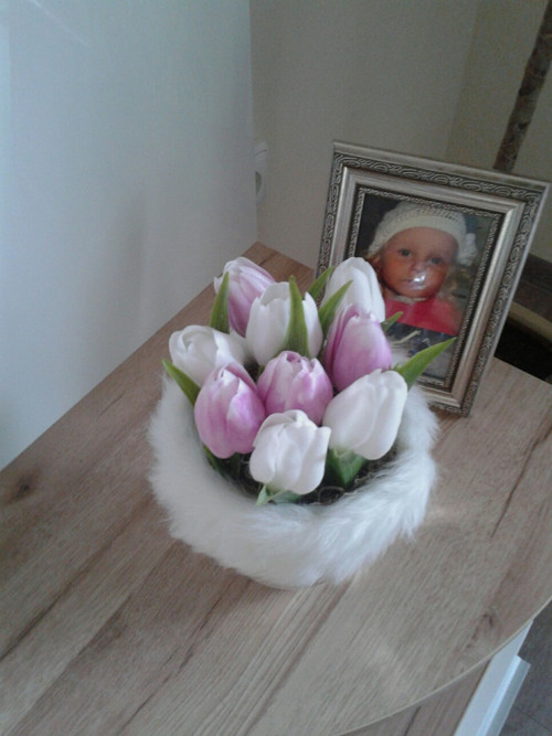 Tulipány v teple — foto 3