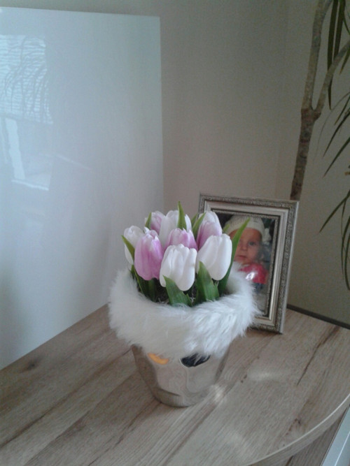 Tulipány v teple — foto 4