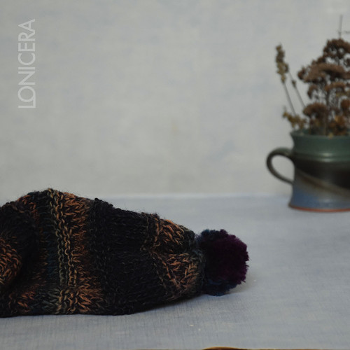 Cesta zimním lesem: čepka — foto 4
